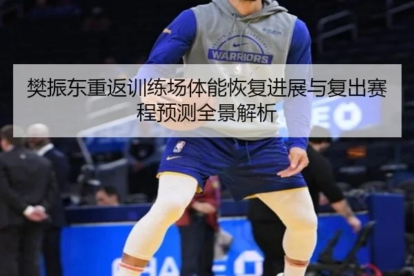 樊振东重返训练场体能恢复进展与复出赛程预测全景解析